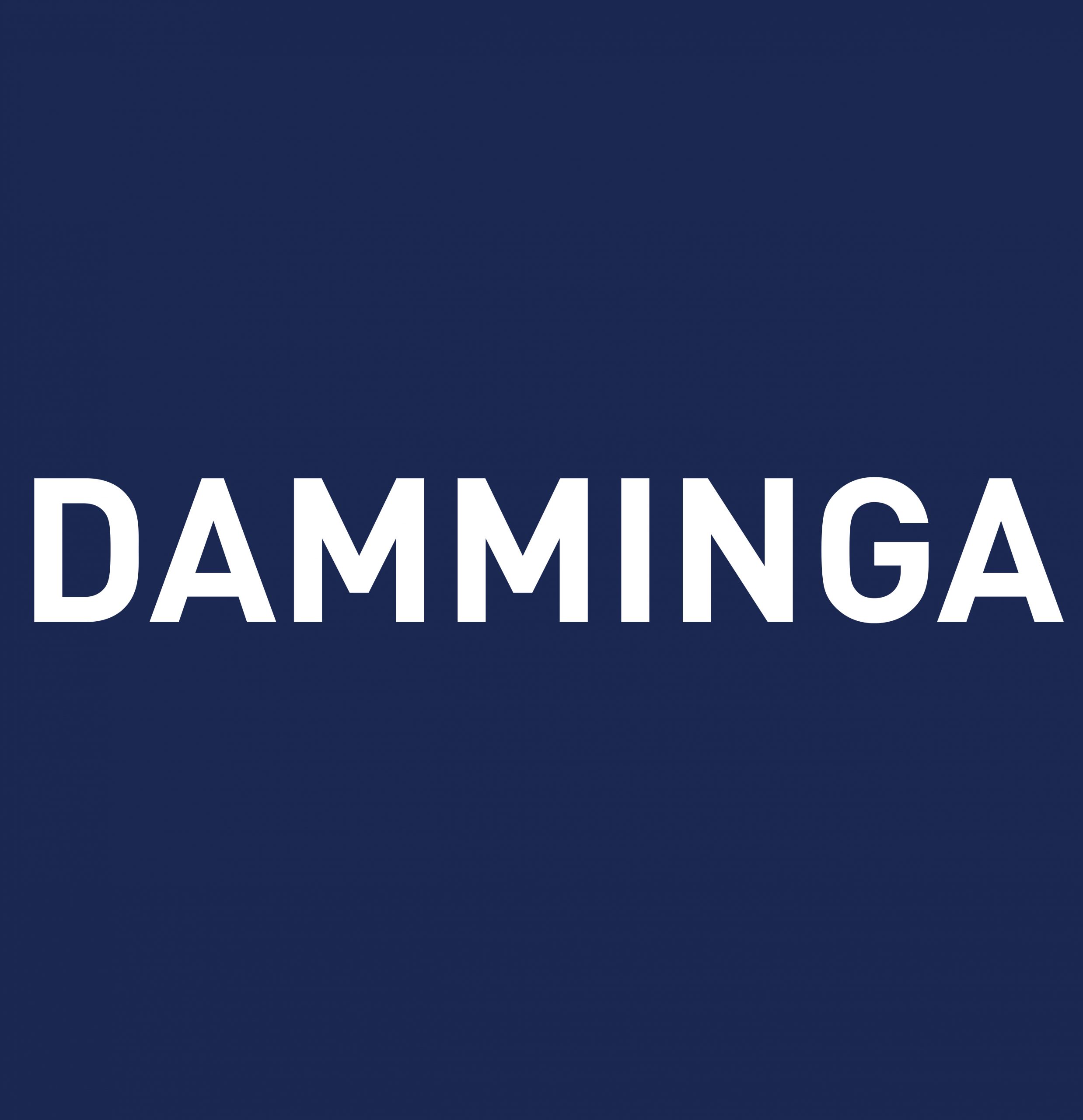 damminga logo